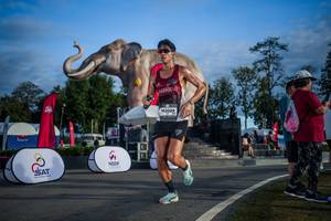 BIB: 
                            <button type="button" onclick="openModal(26541856)" class="btn btn-primary btn-sm float-right btn-popup" data-toggle="modal" data-target=".modal-high-quality">
                        <i class="fas fa-shopping-cart"></i> Add to Cart
                    </button>
                                            <button type="button" onclick="isThisMe(26541856, true)" class="btn btn-success btn-sm float-right btn-popup btn-isme hidden" data-toggle="tooltip" data-placement="bottom" title="นี่คือรูปของคุณใช่ไหม คลิกที่นี่เพื่อเอาเข้าอัลบั้ม">
                        <i class="fas fa-plus"></i> Add to album
                    </button>
                    <button type="button" onclick="isThisMe(26541856, false)" class="btn btn-warning btn-sm float-right btn-popup btn-isnotme hidden">
                        <i class="fas fa-ban"></i> Remove from album
                    </button>